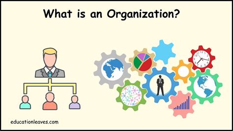 what is a foundation organization|why should i be a foundation director.